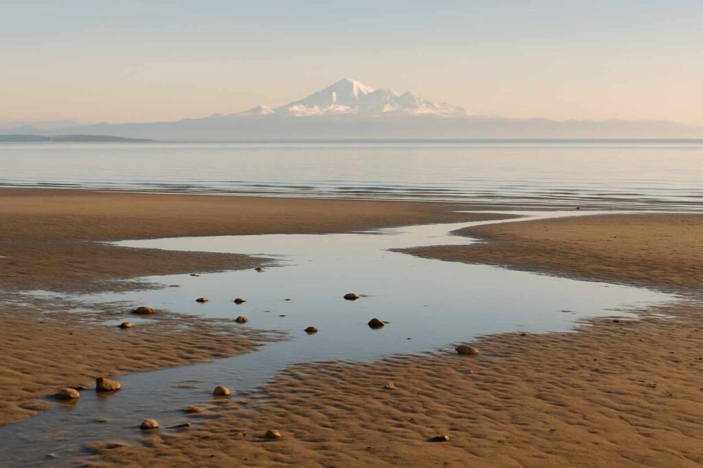 calm beach view with mountains local shopping | GPS: 49.163970, -122.933703