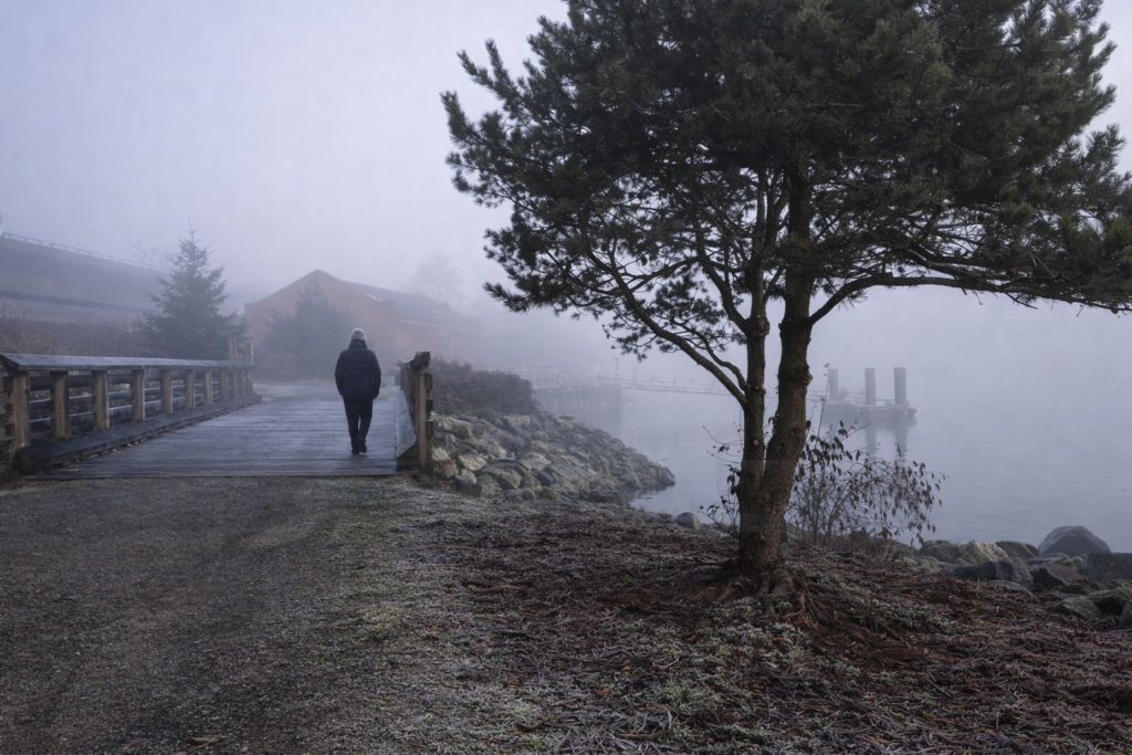 misty-morning-walk-along-the-lake-shore-directory