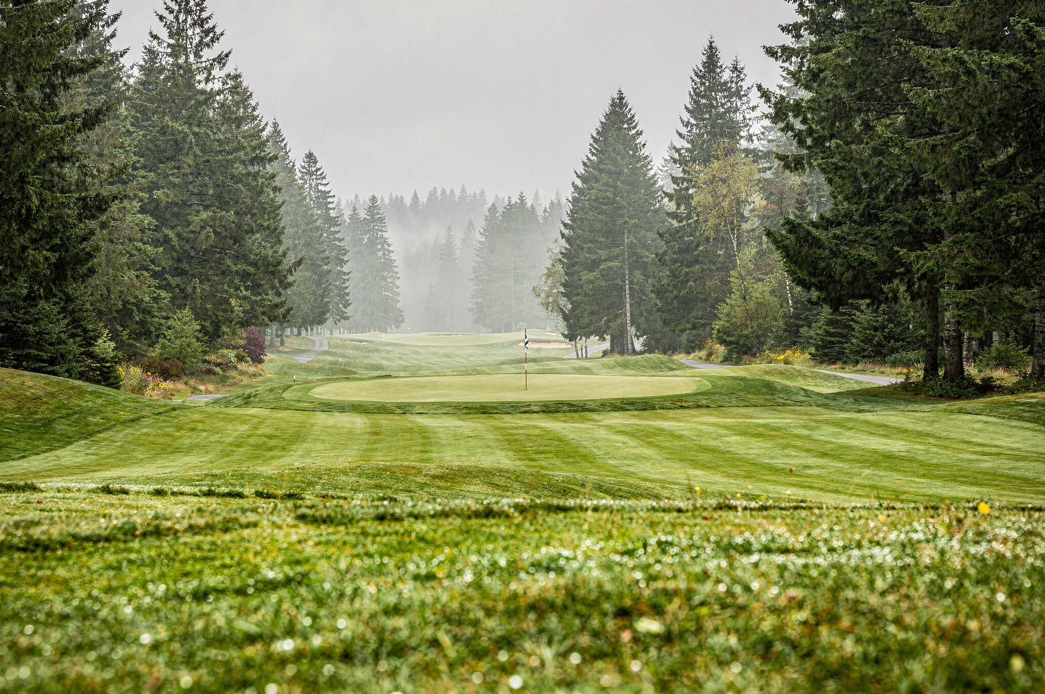 Best New Westminster Golf Courses