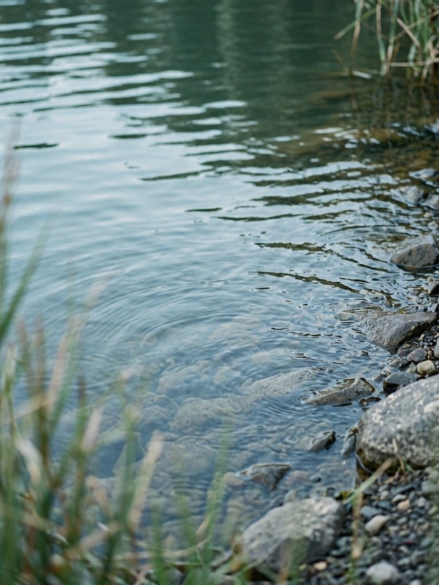 The Fraser River Discovery Centre