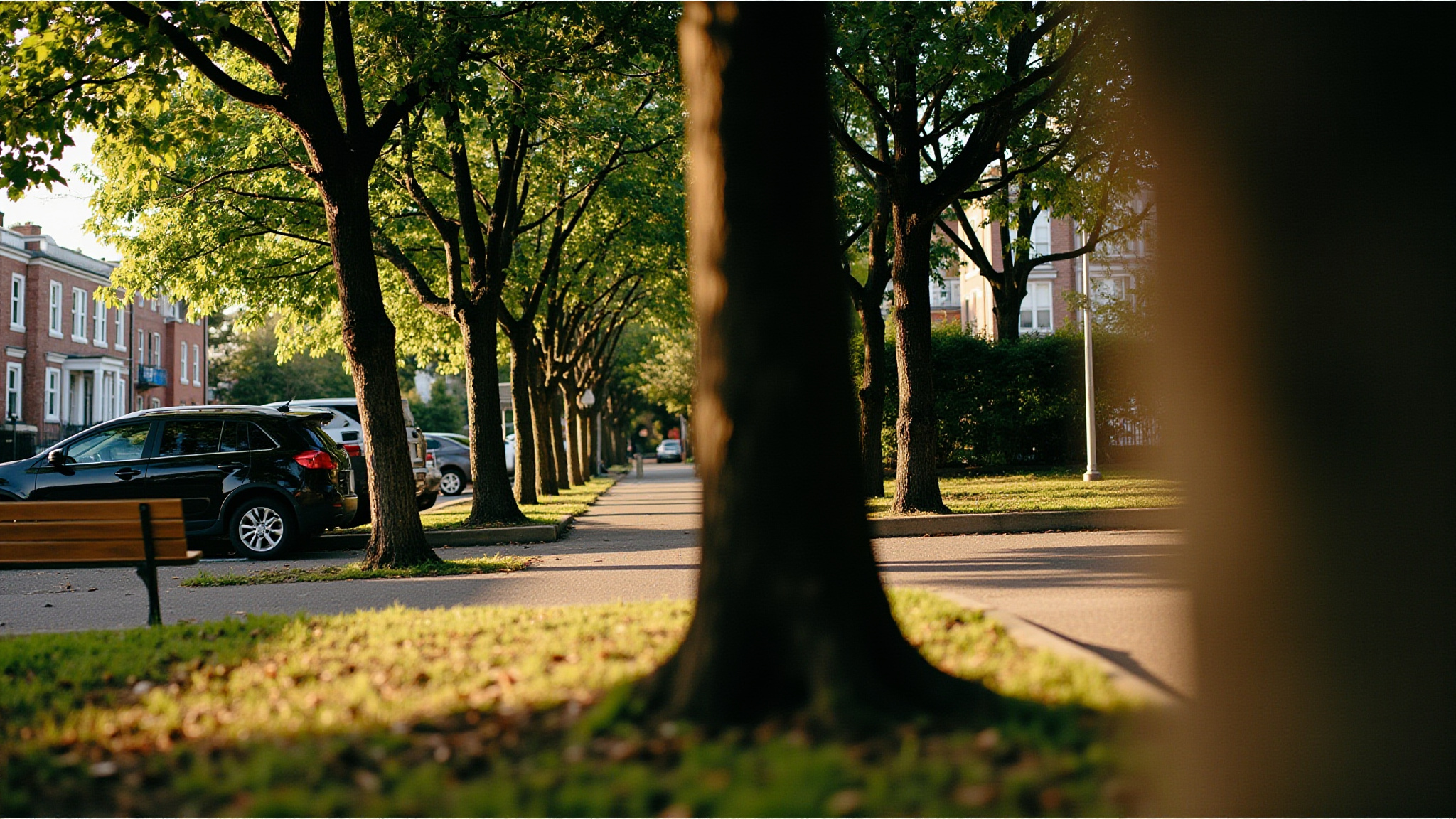 Queen's Park New Westminster: A Local's Guide to the Royal City's Heritage Park