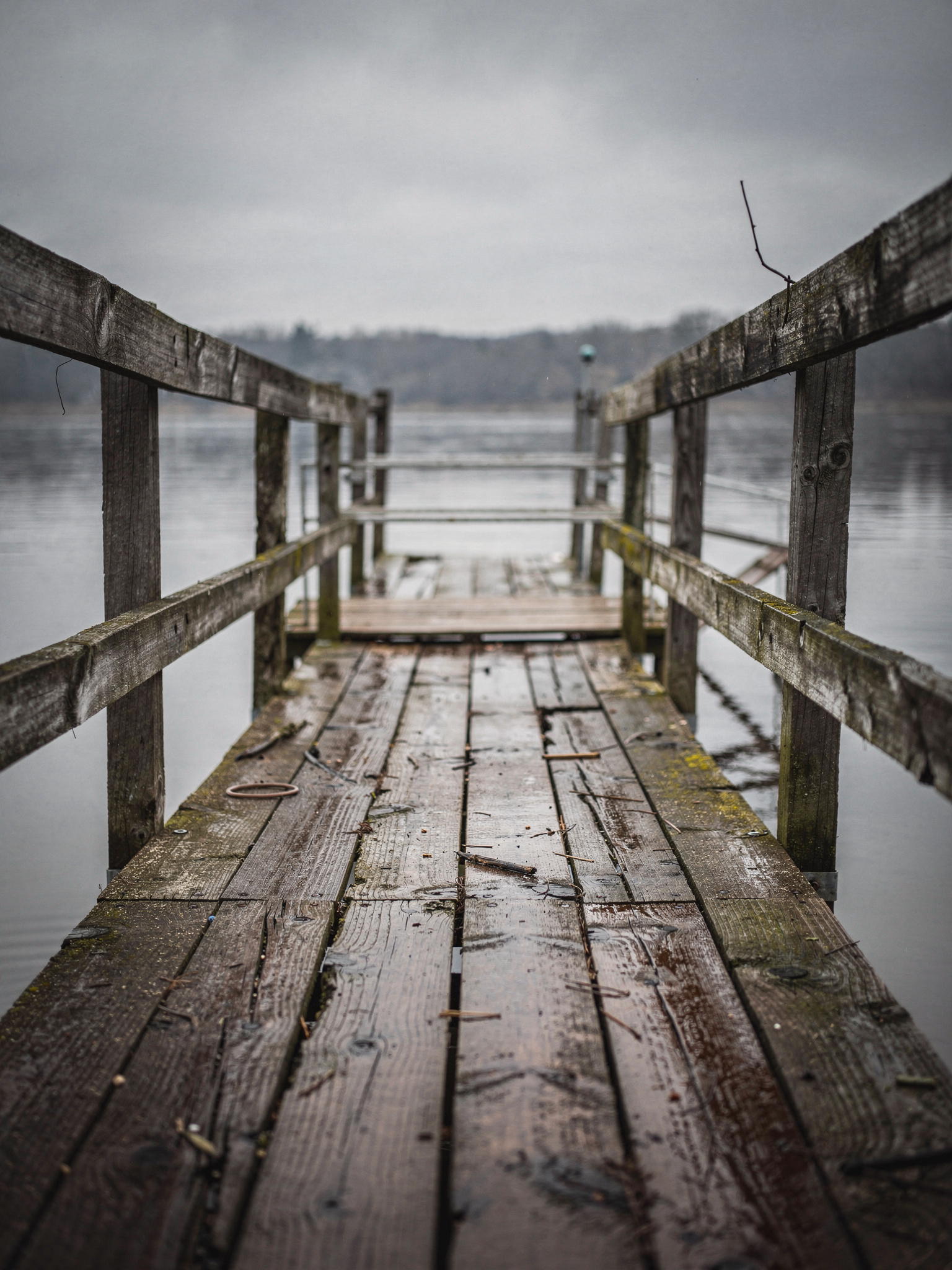 Sapperton Landing Park and the Fraser River Waterfront