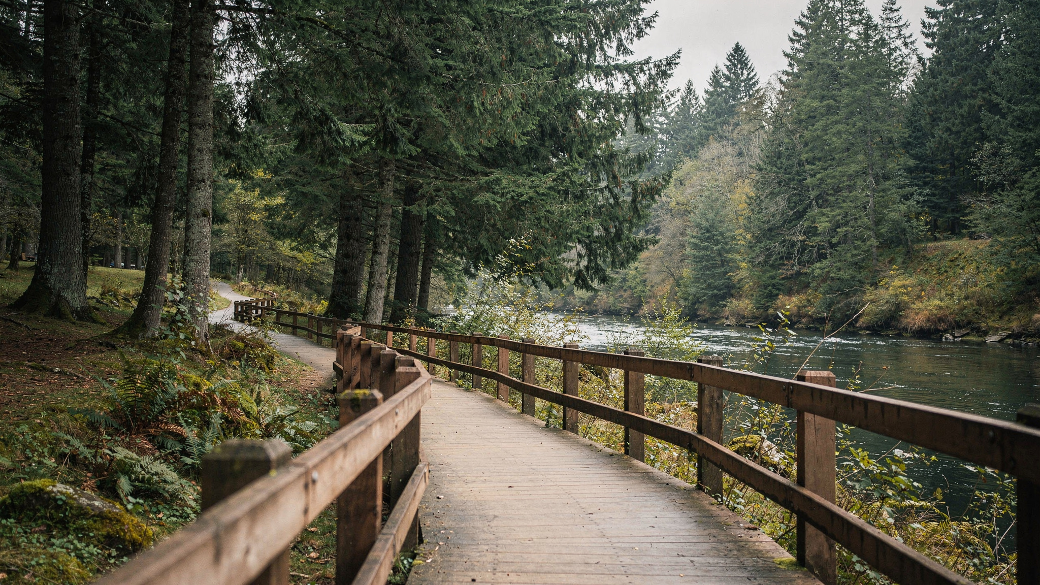 Sapperton New Westminster: A Local's Guide to the Royal City's Oldest Neighbourhood