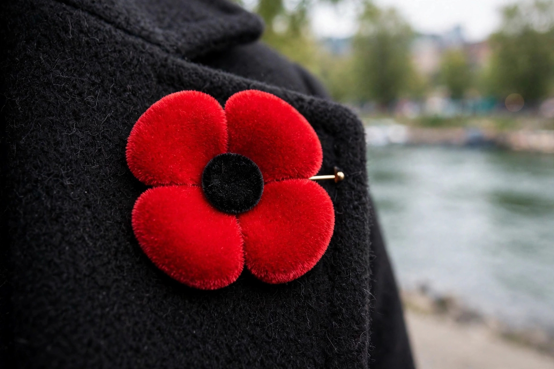 A Canadian Legion poppy pin on a black wool coat, four red flocked petals, flat black centre, no leaf, a riverfront blurred behind